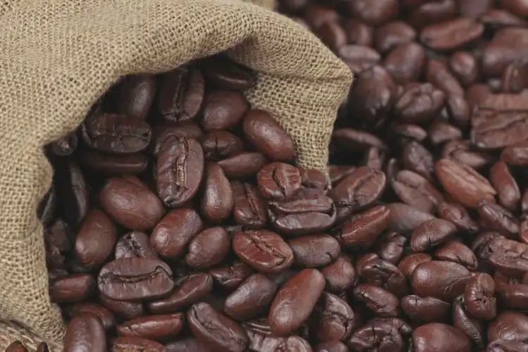  How an Intelligent Color Sorter Transformed Coffee Bean Sorting for a Specialty Coffee Processor